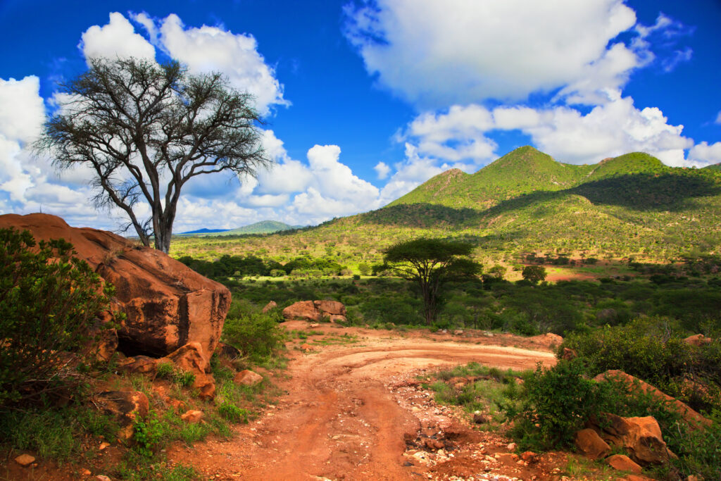 Dirt road with green mountains bedneyimages